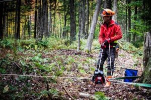 portable winch